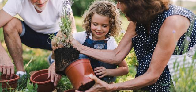 Estate Legacy Planning Services | Franklin Wealth Solutions
